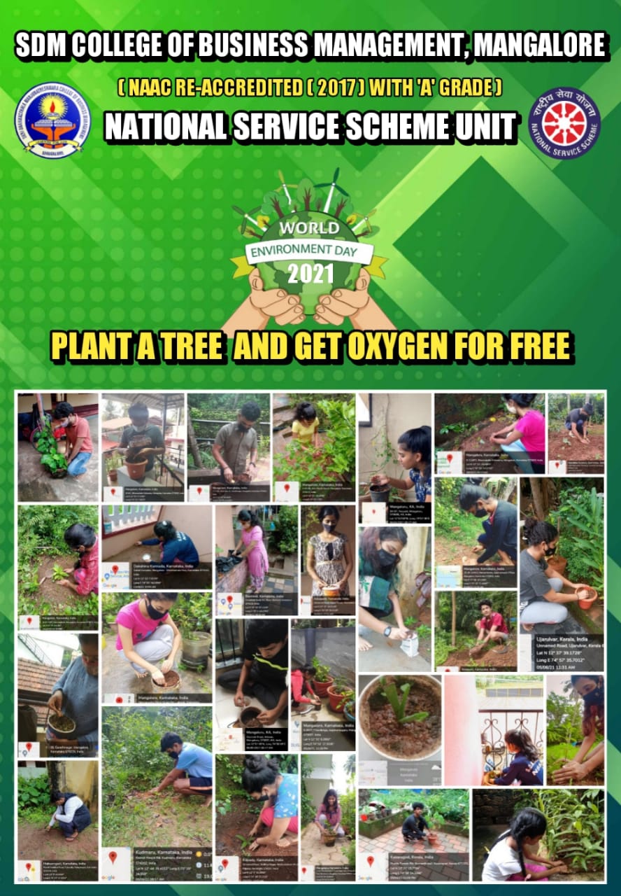 Plant A Seed Programme-NSS Volunteers