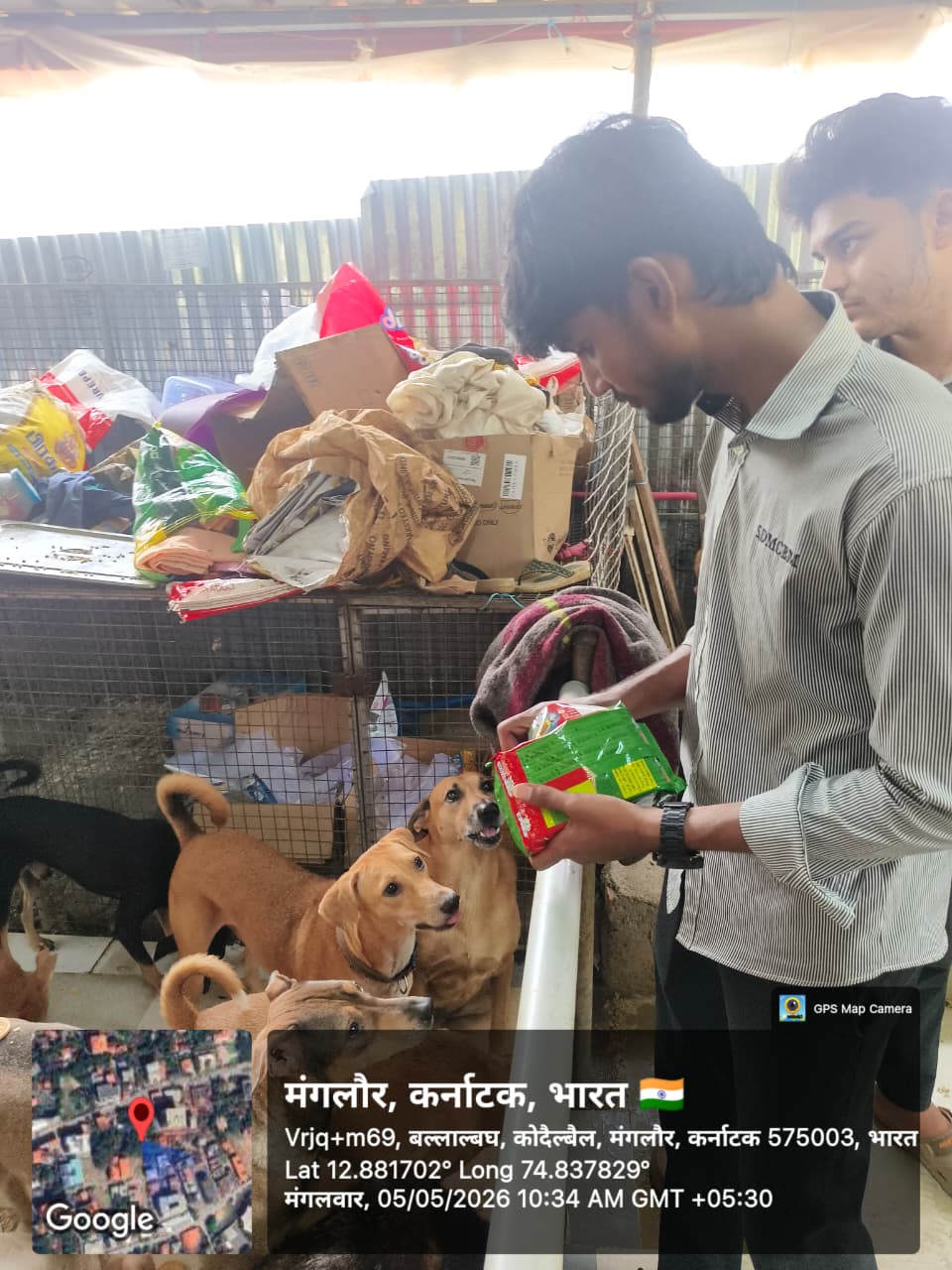 A visit to Local Animal Care Trust.