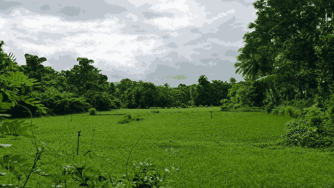 Photography Competition